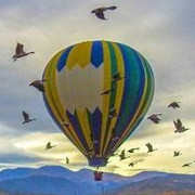 a hot air balloon surrounded by large birds